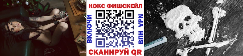 Купить закладки  Кашира  КОКАИН Эквадор 