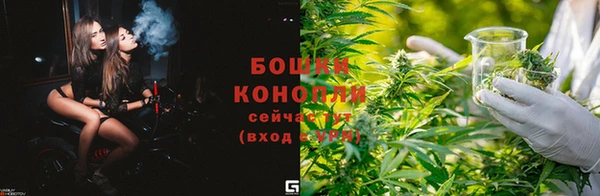 СК Арсеньев