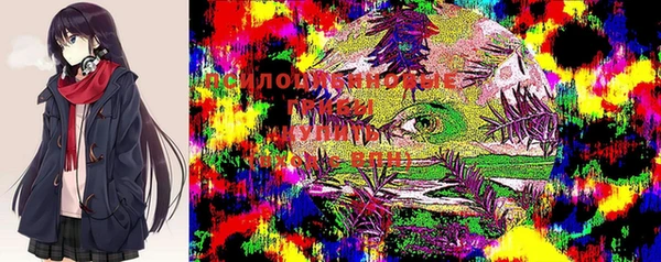 дурь Армянск