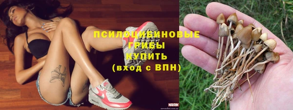 дурь Армянск