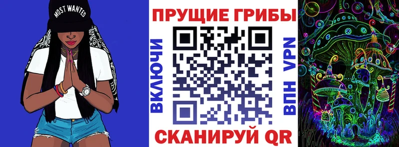 Купить закладки Кашира Галлюциногенные грибы мицелий